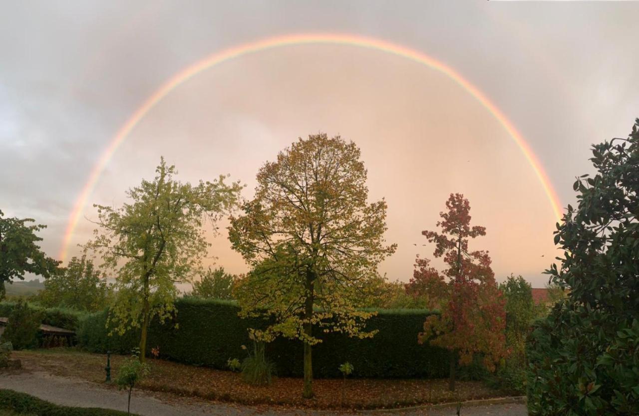 Suite Villa Aurelj Barolo Exteriör bild